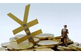 临湘为什么选择专业追讨公司来处理您的债务纠纷？